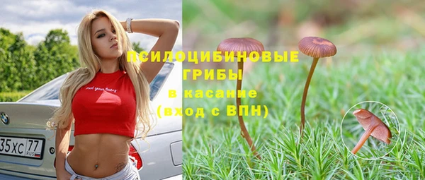 альфа пвп Горно-Алтайск