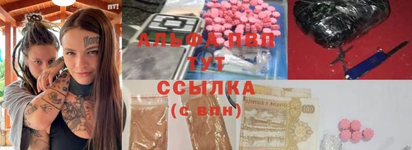 apvp Белокуриха