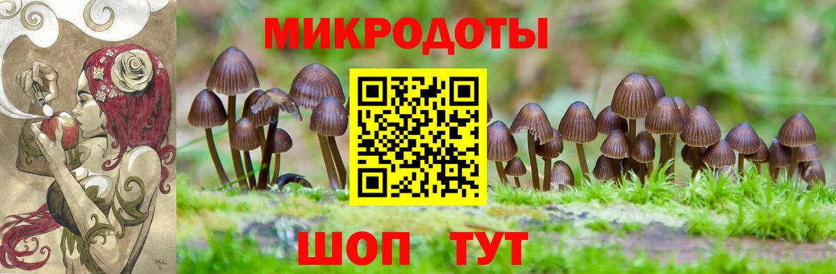Сосновый Бор  цена наркотик  Галлюциногенные грибы мухоморы  Вход с VPN  Псилоцибиновые грибы Psilocybine cubensis 