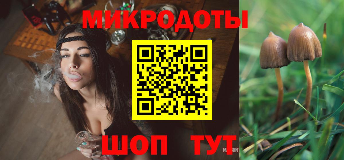 Псилоцибиновые грибы ЛСД  Псилоцибиновые грибы Psilocybe  Сосновый Бор 